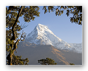 Mt Anna Purna Home Page w dropshadow
